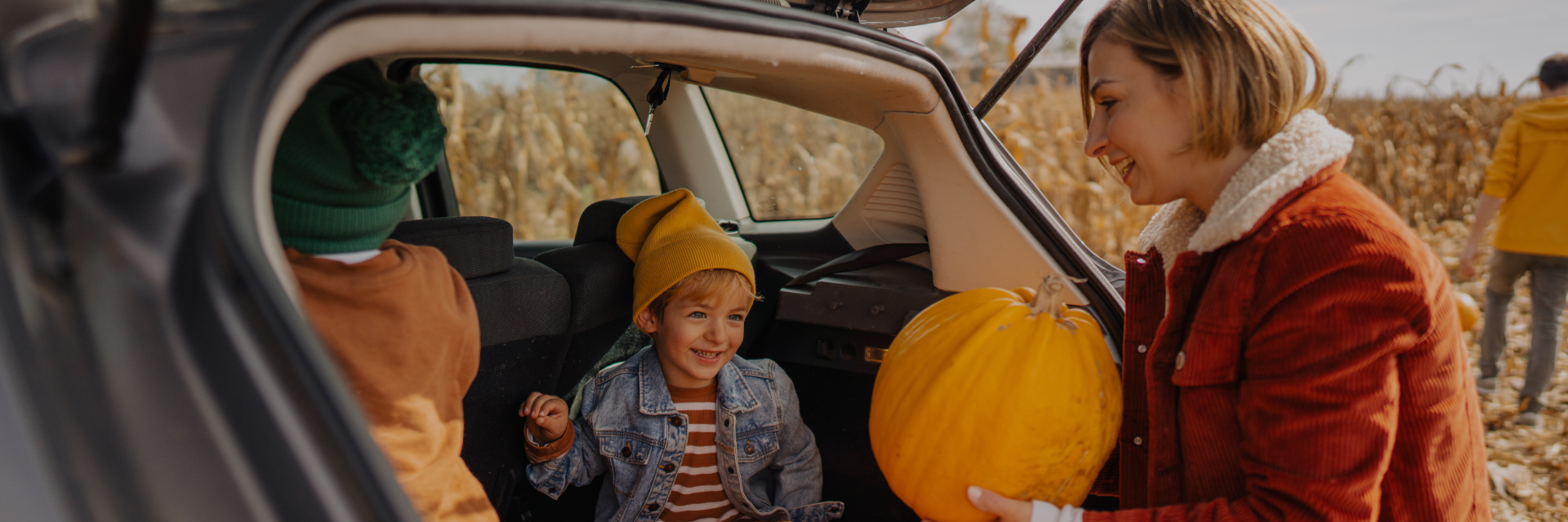 Arval AutoSelect - Ex-Lease Vehicles - Find your perfect Used Car